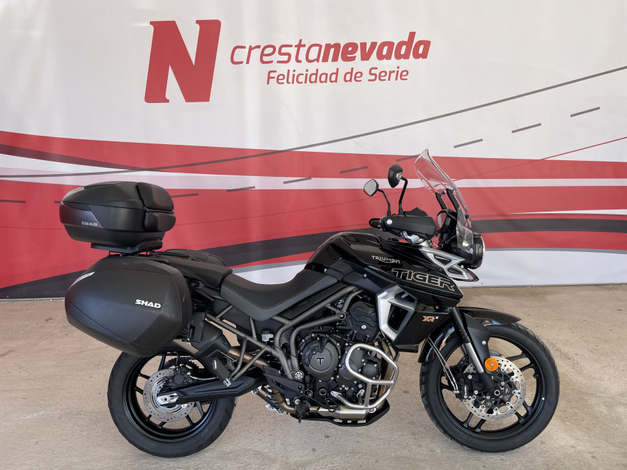 Imagen de Triumph TIGER 800 