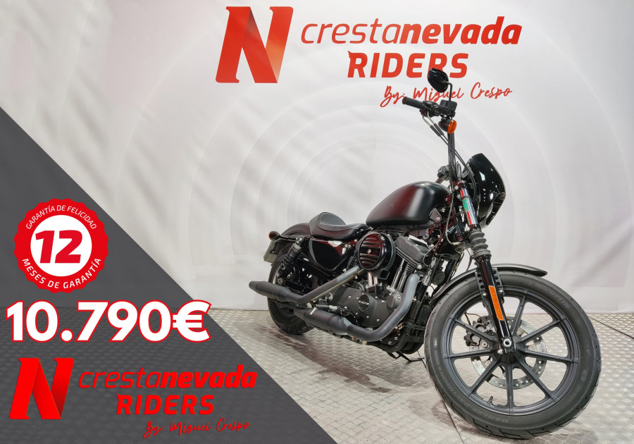 Harley Davidson Iron 1200 A2