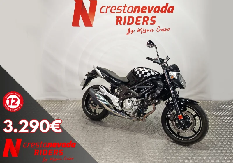 Suzuki Gladius 650