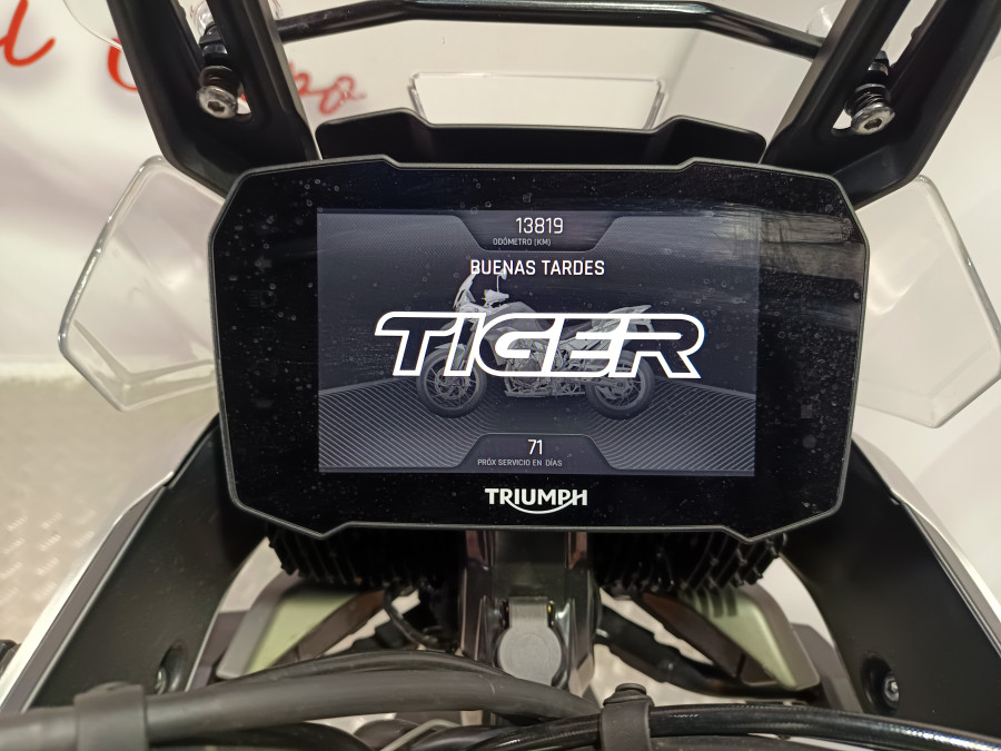 Imagen de Triumph TIGER 900