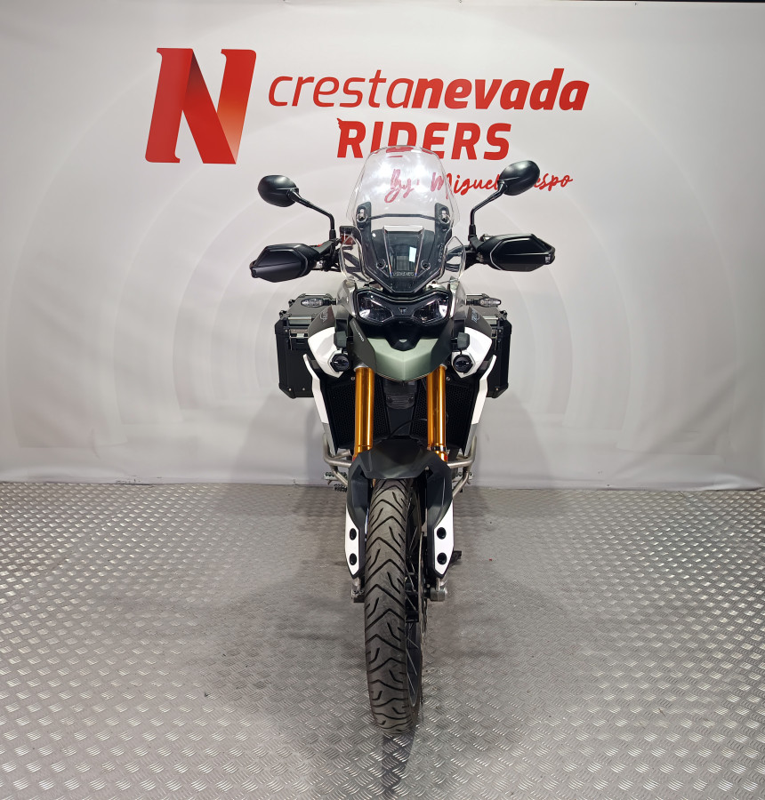 Imagen de Triumph TIGER 900
