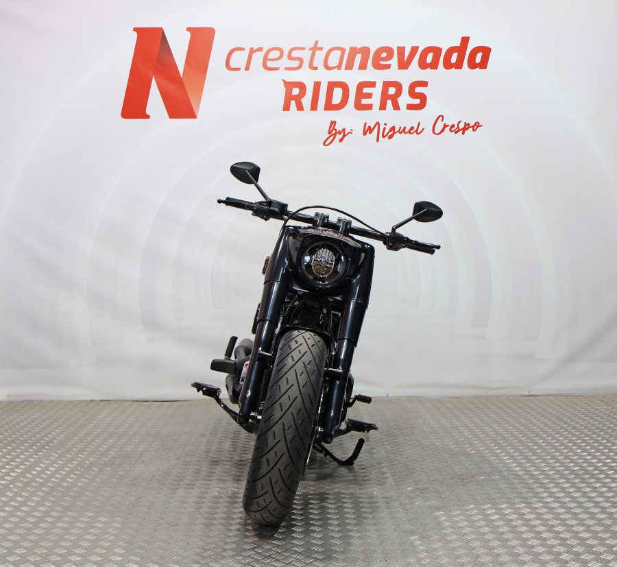 Imagen de Harley Davidson FAT BOY 114