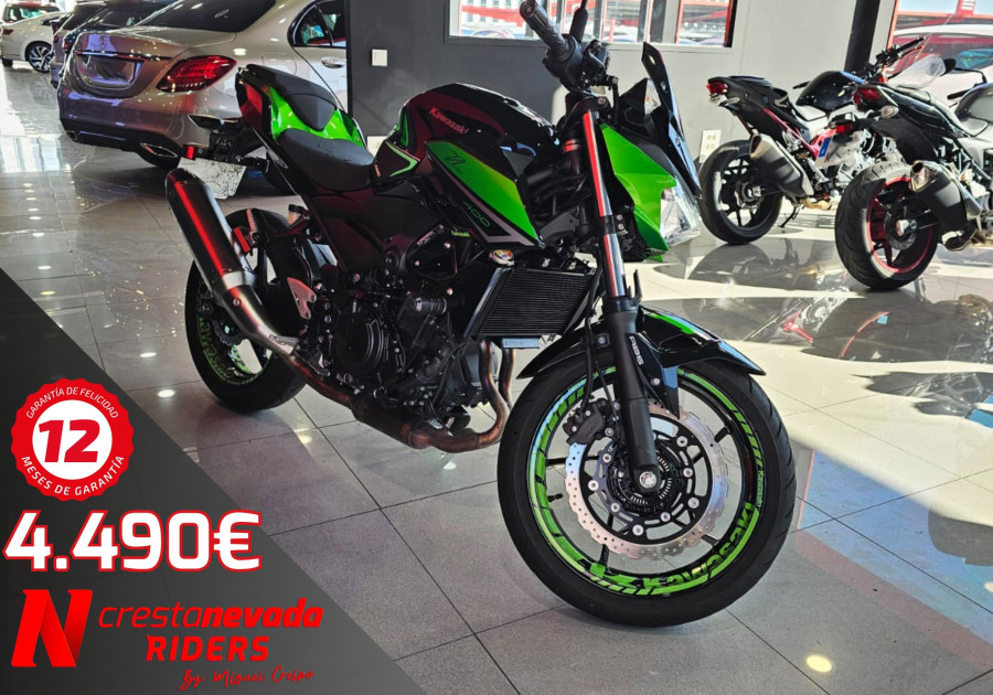 Kawasaki Z 400 Performance