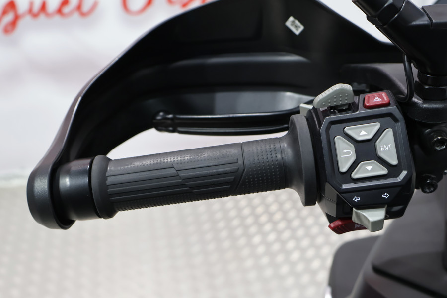 Imagen de VOGE 900 DSX